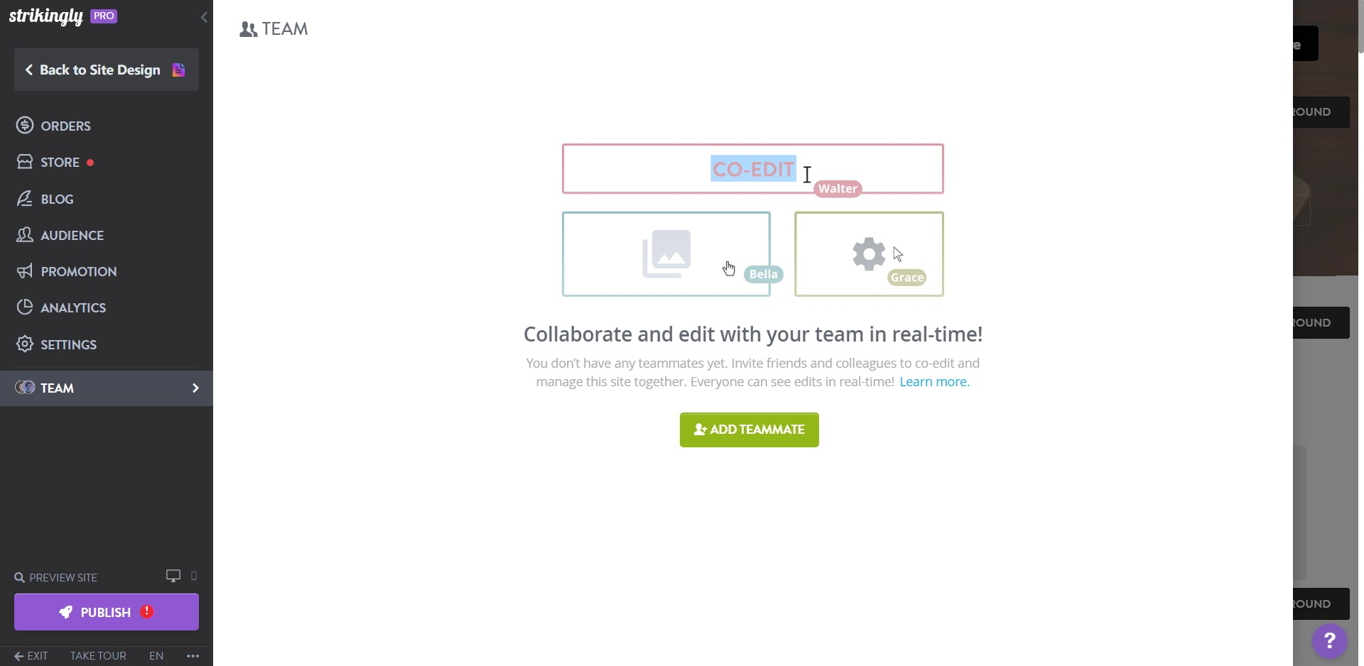 Strikingly Collaborate with Teammates Strikingly Collaborate with Teammates